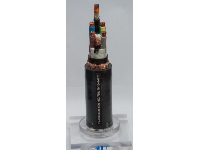 电动汽车充电桩用充电电缆2.jpg 电动汽车充电桩用充电电缆(图2)